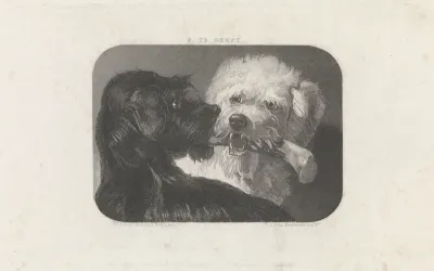 Zwarte en witte hond