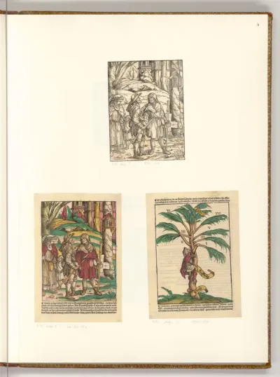 Zwei Pilger im Gespräch; Zachäus erklettert einen Baum (aus Johannes Geiler von Keysersberg, Predigten teütsch, Augsburg: Johann Otmar 1508)