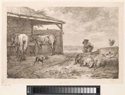 Zwijnen en man bij een paardenstal