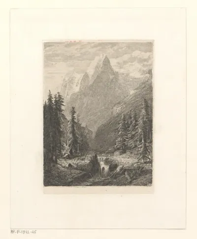 Zwitsers berglandschap met dennenbomen aan een beek