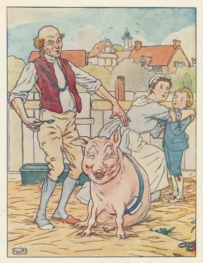 A Bandaged Sow