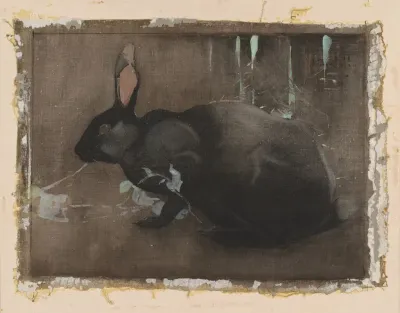 A Black Rabbit