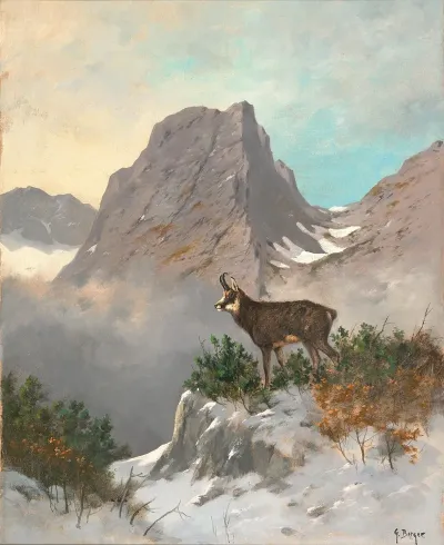 A Chamois High In The Mountains