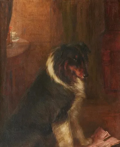A Collie In An Interior
