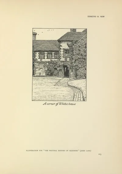 A Corner Of Whites House The Natural History Of Selborne
