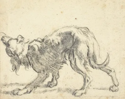 A Dog 2