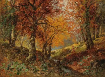 A Forest Glade In Autumn