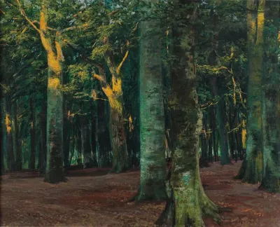 A Forest Interior