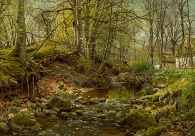 A Forest Stream 2