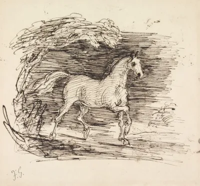 A Grey Horse Trotting Out Of A Wood