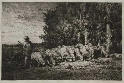 A Herd At The Edge Of A Forest