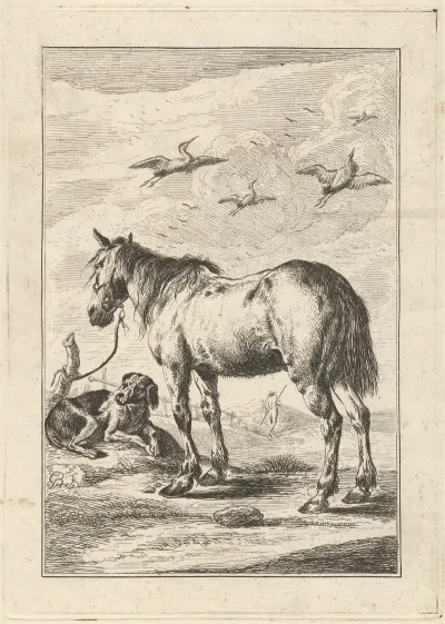 A Horse And A Dog