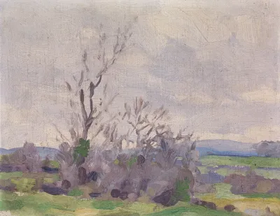 A Landscape 9