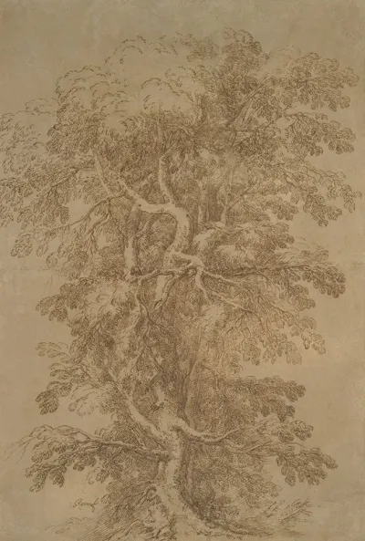 A Large Tree