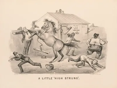 A Little High Strung
