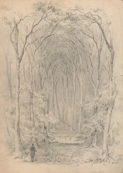 A Man And A Woman Standing At The Entrance To A Trail Through A Forest