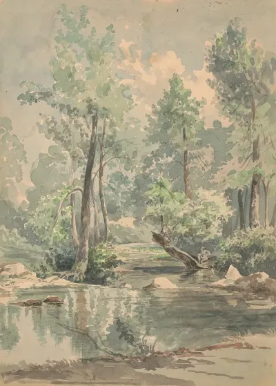 A Man Sitting On A Fallen Tree At The Edge Of A Shaded Stream