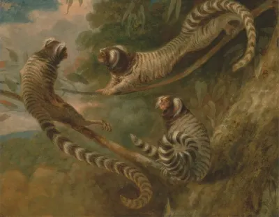 A Marmoset In Three Attitudes