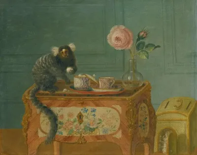 A Marmoset Taking Sweets On A Painted Commode