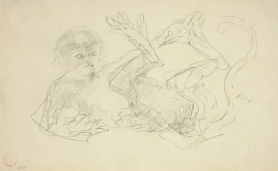 A Monkey Playing On His Back