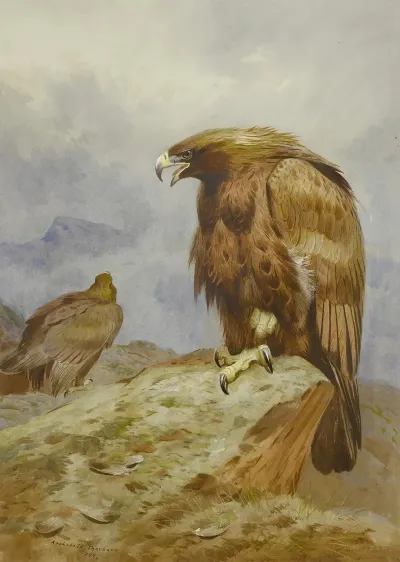 A Pair Of Golden Eagles