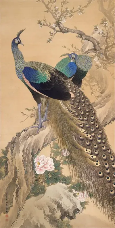 A Pair Of Peacocks In Spring