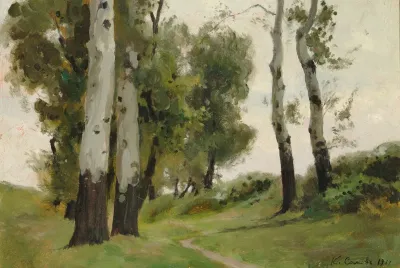 A Path Between The Birch Trees