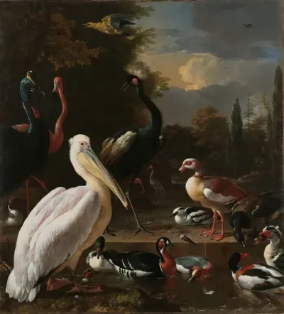 A Pelican And Other Birds Near A Pool Known As The Floating Feather