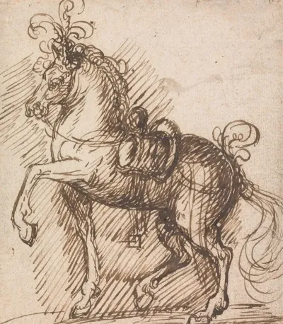 A Plumed Saddle Horse