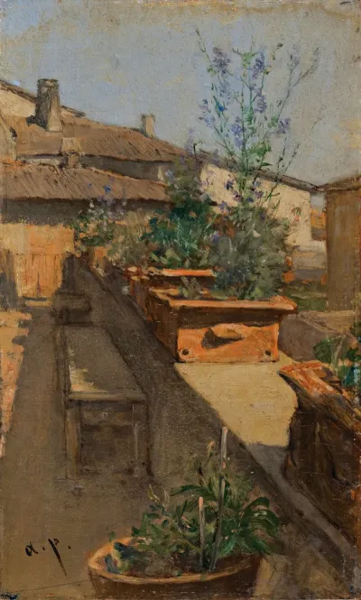 A Roof Garden