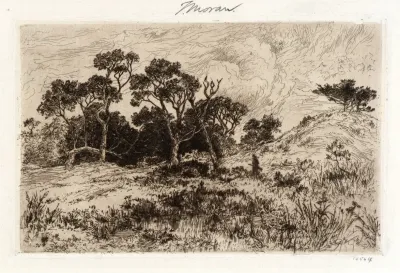 A Southerly Wind