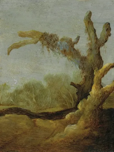 A Tree Trunk In A Landscape
