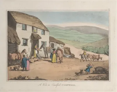 A View Of Camelford Cornwall