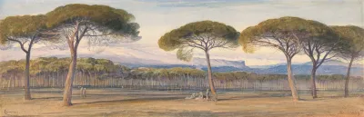 A View Of The Pine Woods Above Cannes 2