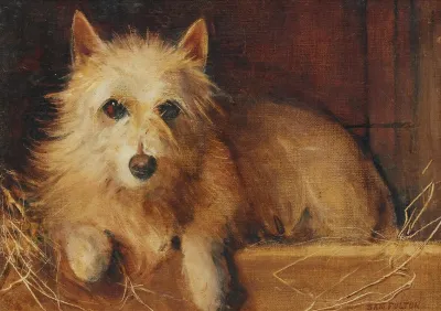 A White Terrier In Its Bed