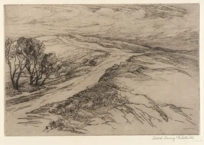 A Windswept Road