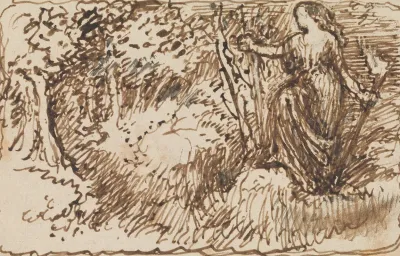 A Woodland Nymph 2