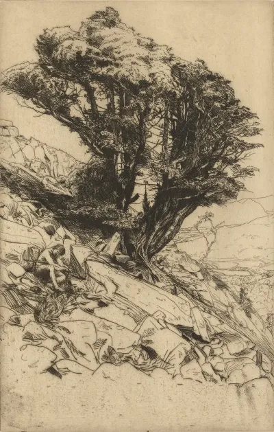 A Yew Tree On Glaramara