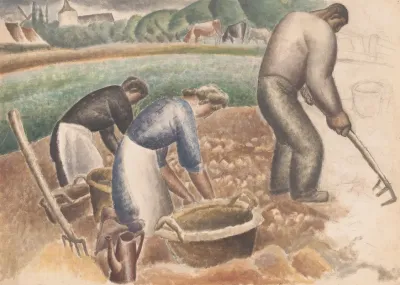 Aardappelrooiers Op Het Land