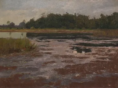 Abendliche Moorlandschaft