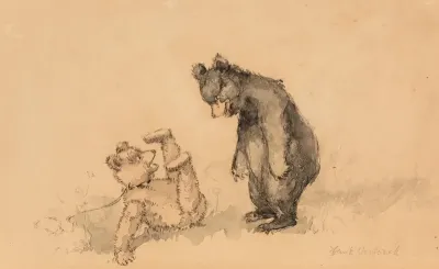 Adventures Of A Teddy Bear V