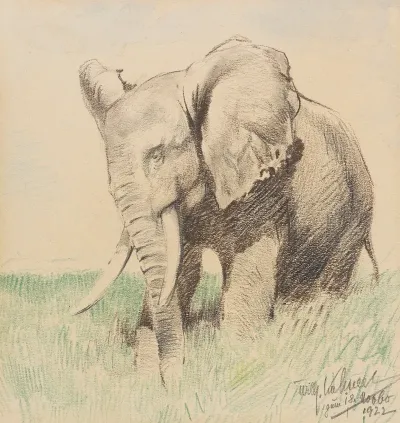 Afrikanischer Elefant In Der Steppe
