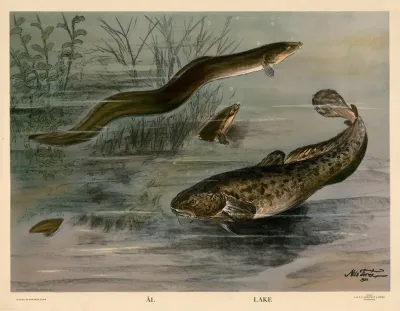 Al Lake