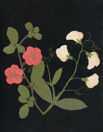 Album Of Cut Paper Flowers Pl 19