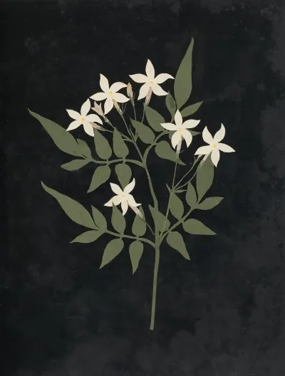 Album Of Cut Paper Flowers Pl 25