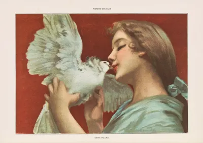 Album Salon Pl 27