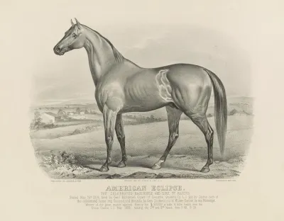 American Eclipse The Celebrated Racehorse And Sire Of Racers