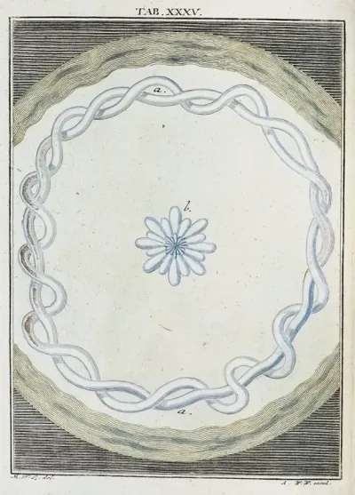 Amusement Microscopique Tant Pour Lesprit Que Pour Les Yeux Pl 036