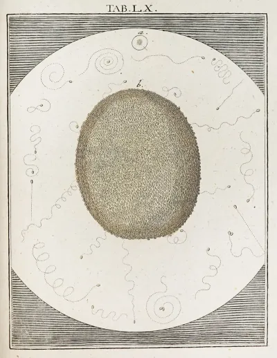 Amusement Microscopique Tant Pour Lesprit Que Pour Les Yeux Pl 060