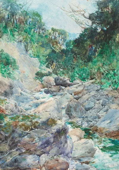 An Alpine Stream Otira